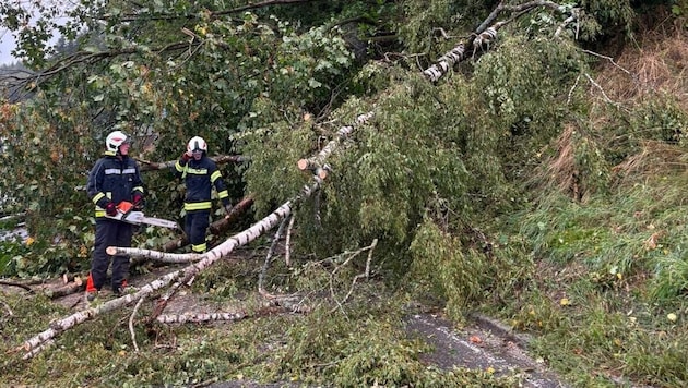 Die Feuerwehren mussten wie hier bei Mattighofen zahlreiche umgestürzte Bäume entfernen