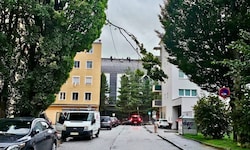Mehrere Äste knickten und ganze Bäume stürzten um.