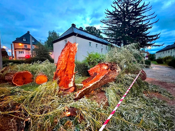 Auch an der Bessarabierstraße in Salzburg-Liefering richtete der Sturm Schäden an.