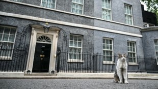 „Larry The Cat“ vor dem Haus des Premiers