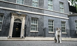 „Larry The Cat“ vor dem Haus des Premiers