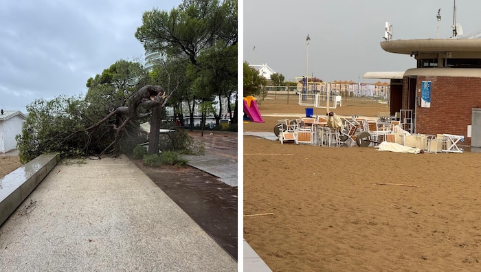 Umgestürzte Bäume, Sesseln und Liegen verteilt am Strand – in Lignano muss nach dem Sturm ...