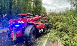 Bäume stürzten vielfach auf die Straßen.