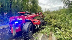 Bäume stürzten vielfach auf die Straßen. 