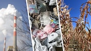 Damit Österreich in 14 Jahren klimaneutral ist, ist noch viel zu tun. 