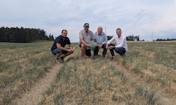 Tristesse beim Lokalaugenschein am Feld: Michael Höllmüller, Bauer Hofstetter, Obmann Haidl, ...
