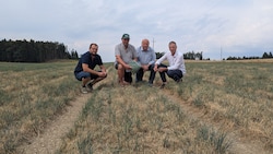 Tristesse beim Lokalaugenschein am Feld: Michael Höllmüller, Bauer Hofstetter, Obmann Haidl, ...