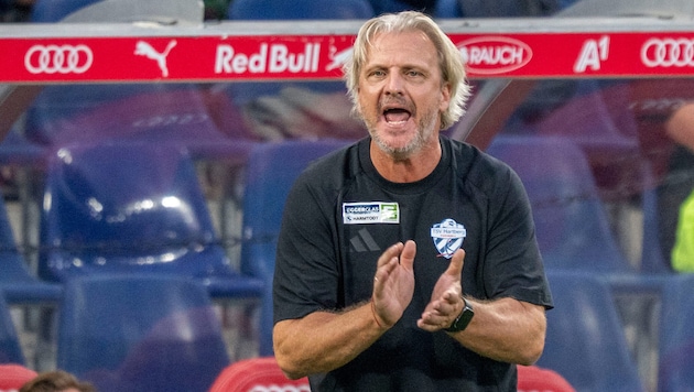 Hartberg-Trainer Markus Schopp