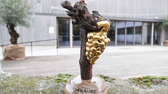 Die Rot-Goldene Traube ist heiß begehrt! Die Weinprämierung ist die wichtigste Auszeichnung des ...