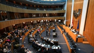 Über die Abschaffung der Parteienmillionen entscheiden am Ende jene, die sie kassieren.