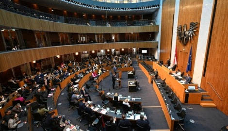 Über die Abschaffung der Parteienmillionen entscheiden am Ende jene, die sie kassieren.