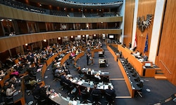 Über die Abschaffung der Parteienmillionen entscheiden am Ende jene, die sie kassieren.
