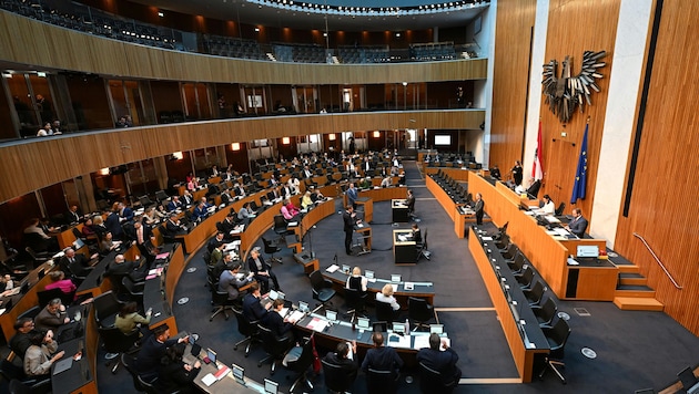 Über die Abschaffung der Parteienmillionen entscheiden am Ende jene, die sie kassieren.
