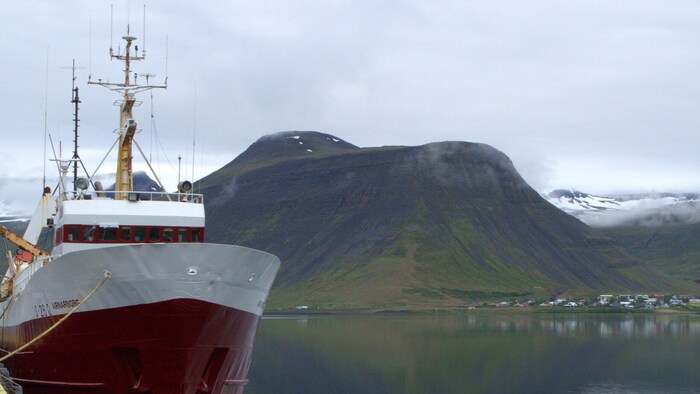 Island hat bereits 2009 einen Antrag auf die Mitgliedschaft in der EU gestellt, dann aber doch ...