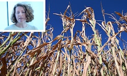 Klimaexpertin Katharina Rogenhofer hat das neue Klimagesetz analysiert.