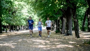  „Dauerläufer“ Franz Wanzenböck (67) und Gina Schmutz (72) mit Lauftrainer Walter Kraus bei der ...