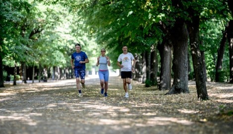  „Dauerläufer“ Franz Wanzenböck (67) und Gina Schmutz (72) mit Lauftrainer Walter Kraus bei der ...