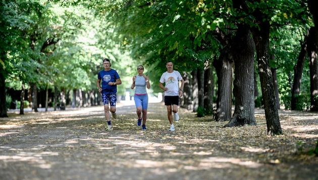 „Dauerläufer“ Franz Wanzenböck (67) und Gina Schmutz (72) mit Lauftrainer Walter Kraus bei der ...