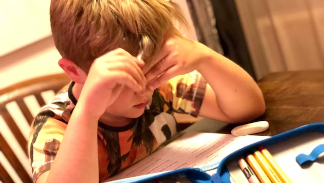 Jeder dritte Kärntner Schüler ist auf Nachhilfe angewiesen.