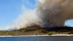 Auf der Urlaubsinsel Hvar wütet erneut ein heftiger Waldbrand.