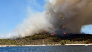 Auf der Urlaubsinsel Hvar wütet erneut ein heftiger Waldbrand.