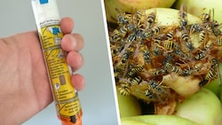 Halb verfaultes Obst ist für die Insekten ein Genuss (rechts). EpiPens mit Adrenalin (links) ...