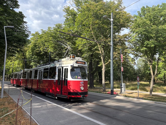 Entlang der Route der Linie 18 wurden rund 200 neue Bäume gepflanzt. Autos können übrigens ...