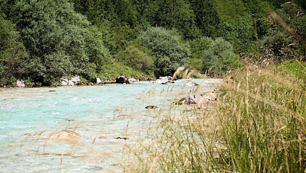 Die Soča bei Bovec in Slowenien: Für einen 56-jährigen Steirer endete ein Badeausflug am Sonntag ...