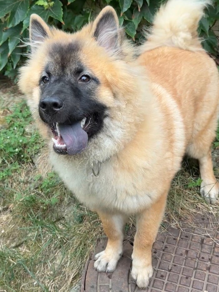 Liebe Ronja hofft auf Lebensplatz
