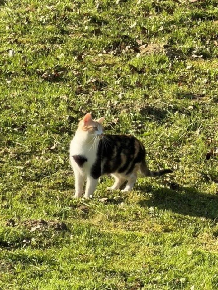 Luna wird schmerzlich vermisst.