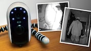 Die Kamera filmte die Einbrecher in der Wiener Wohnung. Auffällig: Die Tätowierung am Arm des ...