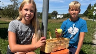 Markus Schütz Amelie und Lukas haben keine neue Kasse installiert, verschenken ihr Obst und Gemüse nun wieder.