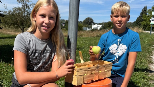 Amelie und Lukas haben keine neue Kasse installiert, verschenken ihr Obst und Gemüse nun wieder.
