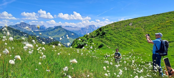 Von den blühenden Bergwiesen profitiert nicht zuletzt der Tourismus.