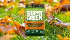 Gut vorbereitet in die kalte Jahreszeit: Mit der richtigen Herbstpflege und einem kaliumreichen ...