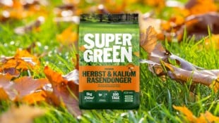 Gut vorbereitet in die kalte Jahreszeit: Mit der richtigen Herbstpflege und einem kaliumreichen ...