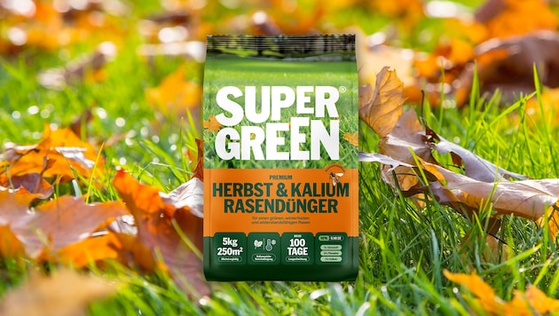 Gut vorbereitet in die kalte Jahreszeit: Mit der richtigen Herbstpflege und einem kaliumreichen ...