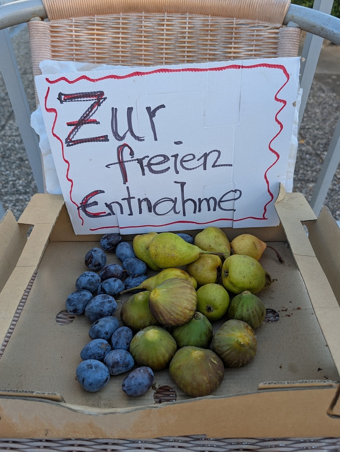 Schöne Geste: Oststeirer verschenken Obst an Passanten