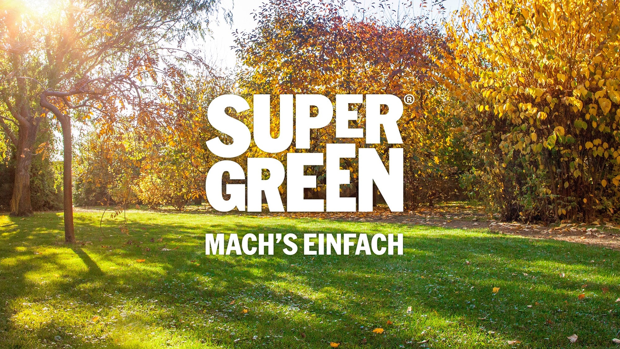 Mit der richtigen Vorbereitung und den passenden Produkten bleibt der Rasen auch in der ...