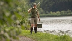 Steirische Fischzüchter gehen durch einen turbulenten Sommer, der sie an die Grenzen bringt.