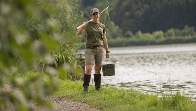 Steirische Fischzüchter gehen durch einen turbulenten Sommer, der sie an die Grenzen bringt.