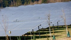 Der PV-Park in Dobl wurde in einer der Vorrangzone errichtet. 