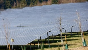 Der PV-Park in Dobl wurde in einer der Vorrangzone errichtet. 