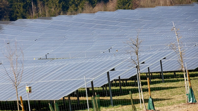 Der PV-Park in Dobl wurde in einer der Vorrangzone errichtet.