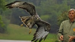 Der Vogel ist wieder gesund und frei.