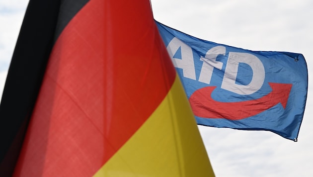 Steht die Alternative für Deutschland 13 Jahre nach ihrer Gründung vor ihrer ersten ...