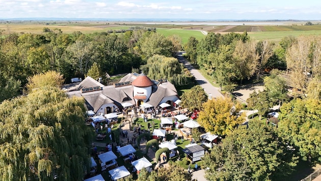 Genuss, Musik und Seewinkel-Flair: Beim VILA VITA Pannonia Genussfestival wird am 4. Oktober ...
