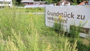 Wer Grundstücke lieber hortet als wie hier verkauft, muss ab 2032 eine jährliche Abgabe dafür ...