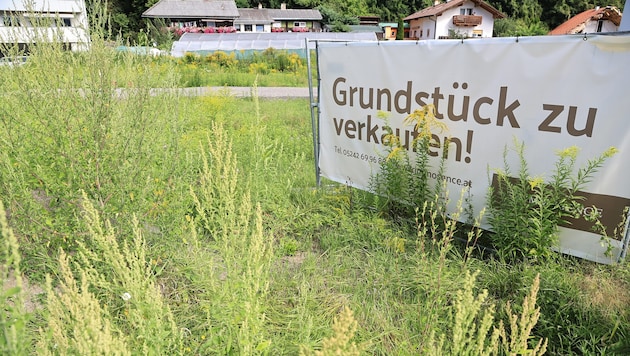 Wer Grundstücke lieber hortet als wie hier verkauft, muss ab 2032 eine jährliche Abgabe dafür ...