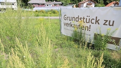 Wer Grundstücke lieber hortet als wie hier verkauft, muss ab 2032 eine jährliche Abgabe dafür ...